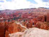 Bryce_03web.jpg (24136 bytes)