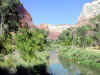 Zion_02.JPG (87947 bytes)